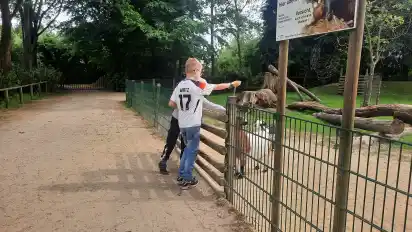 Wer traut sich in das Ziegengehege? Im Tiergarten Ludwigslust in Osterholz-Scharmbeck können Kinder Abenteuer erleben und die Tierwelt mit allen Sinnen erleben.