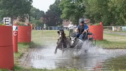 In diesem Jahr richtet der FRV Driftsethe kein Fahrturnier aus.
