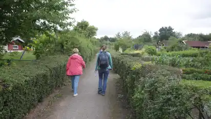 Mitten durch das Kleingartengebiet Neustadt Süd könnte eine gut ausgebaute Rad- und Fußwegeverbindung entstehen.