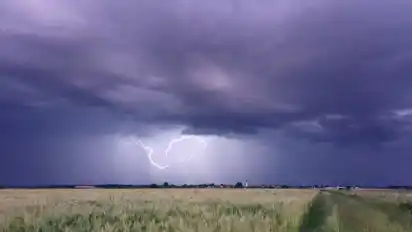 Der Deutsche Wetterdienst (DWD) sagt für die kommenden Tage Gewitter vorher.