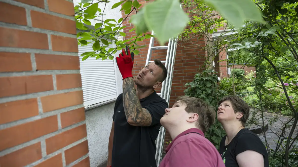 Jpann nude first feedback seemed mixed about Momo, so I