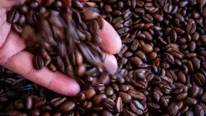 Die Café-Kette ”LAP Coffee” aus Berlin expandiert rasant und hat bereits 20 Standorte deutschlandweit.