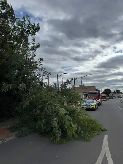 Eine Fahrbahn der Bassumer Straße konnte zwischenzeitlich nicht genutzt werden.