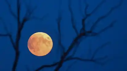 Am 7. September gibt es eine totale Mondfinsternis in der Region um Bremen.