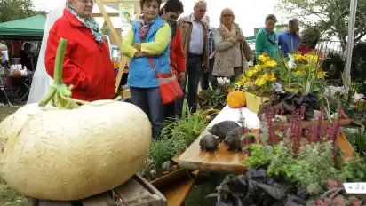 Regional genießen, staunen und mitmachen: Der 5. Dorfmarkt in der Syker City lockt am Sonntag in die Innenstadt.