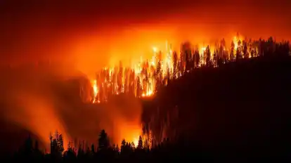Das „Garnet Fire“ bedroht Riesenmammutbäume im Waldgebiet McKinley Grove.