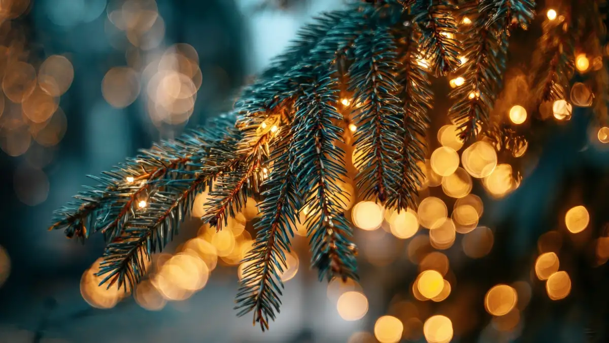 Leser-Voting-Hier-gibt-es-die-sch-nsten-Weihnachtsb-ume-in-Bremen