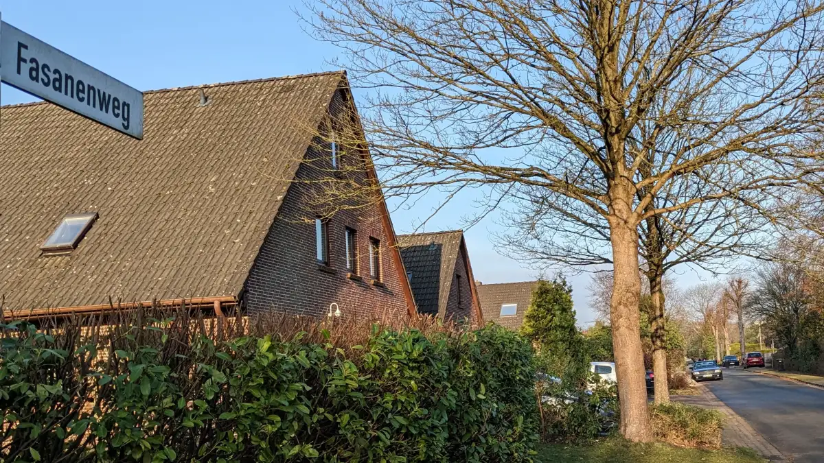 Baumpflege-Debatte in Hagen: Wer darf welchen Baum beschneiden?