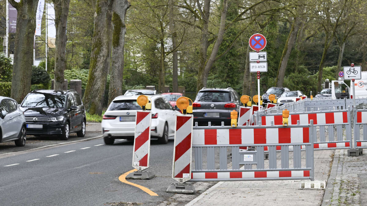 Construction site disrupts access to the Rhododendron Park in Bremen