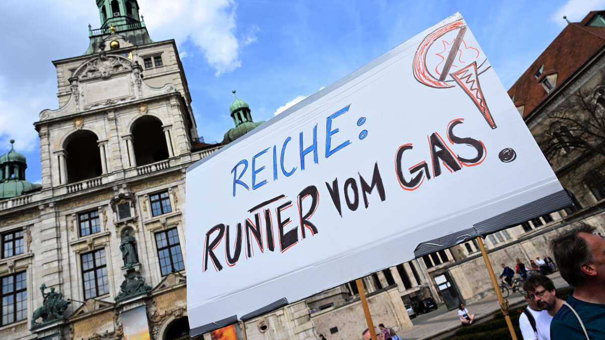 Fridays for Future calls for protests against natural gas projects in ...